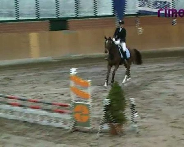 Heiden 2011