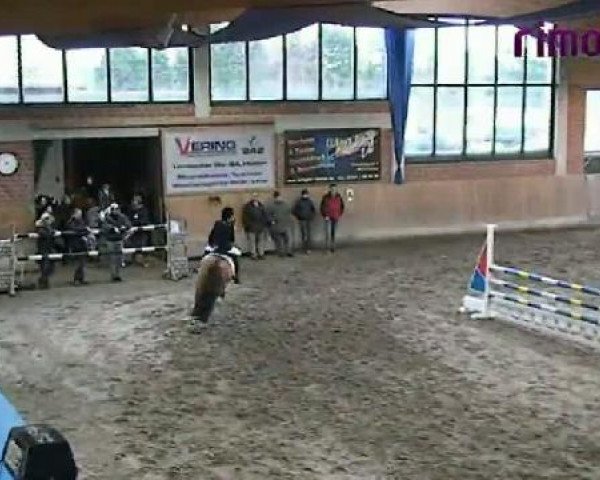 Heiden 2011