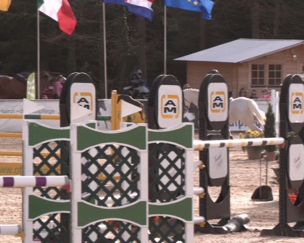 Reitturnier Ranshofen - Braunau am Inn 2024