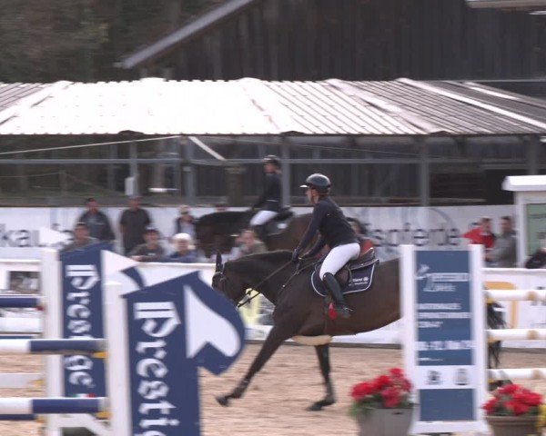 Reitturnier Ranshofen - Braunau am Inn 2024