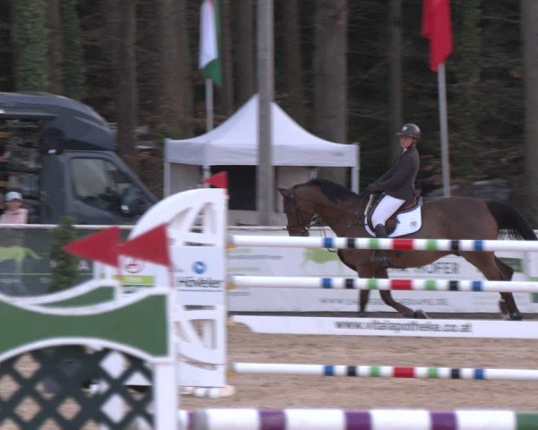 Reitturnier Ranshofen - Braunau am Inn 2024