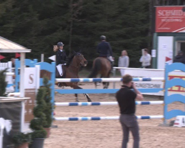 Reitturnier Ranshofen - Braunau am Inn 2024