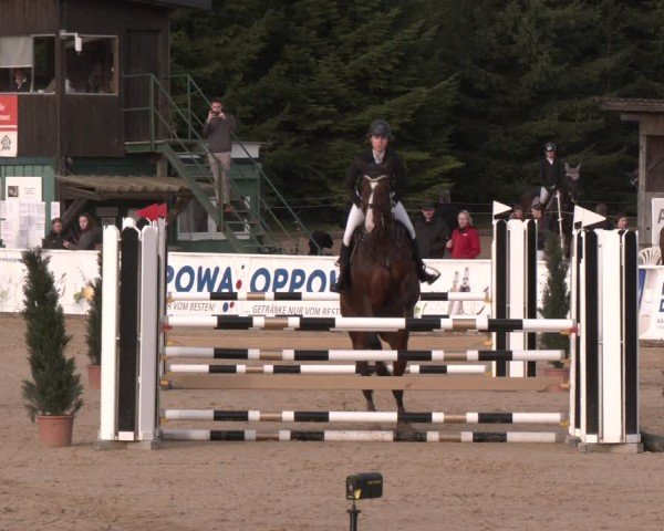Reitturnier Ranshofen - Braunau am Inn 2024