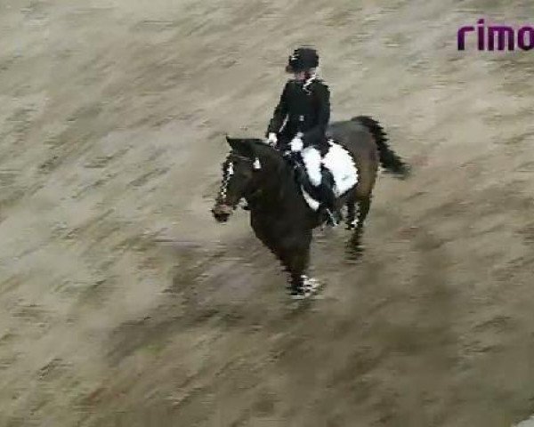 Heiden 2011