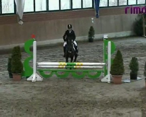 Heiden 2011