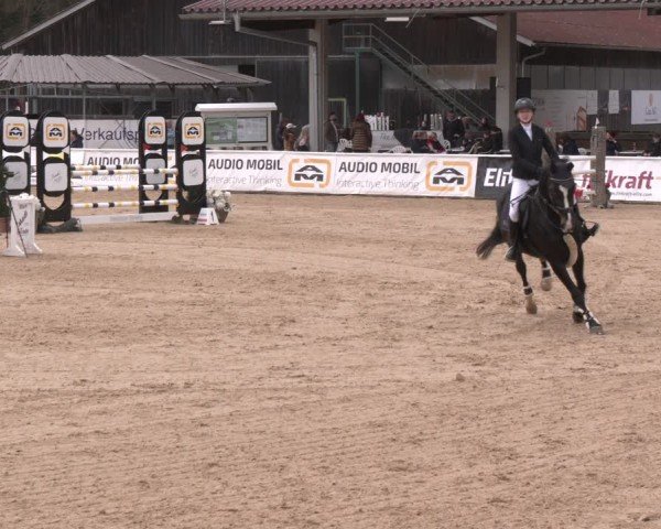 Reitturnier Ranshofen - Braunau am Inn 2024