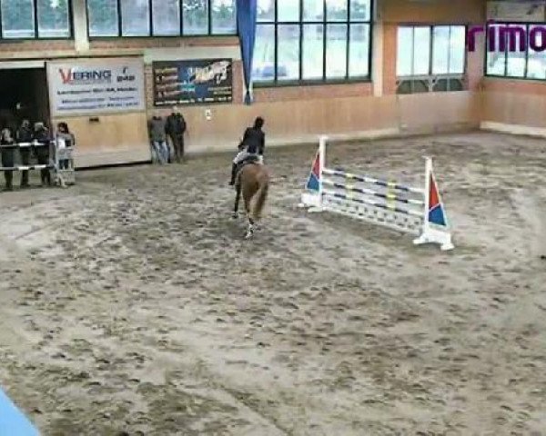 Heiden 2011