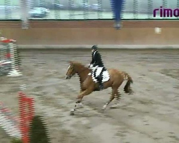 Heiden 2011