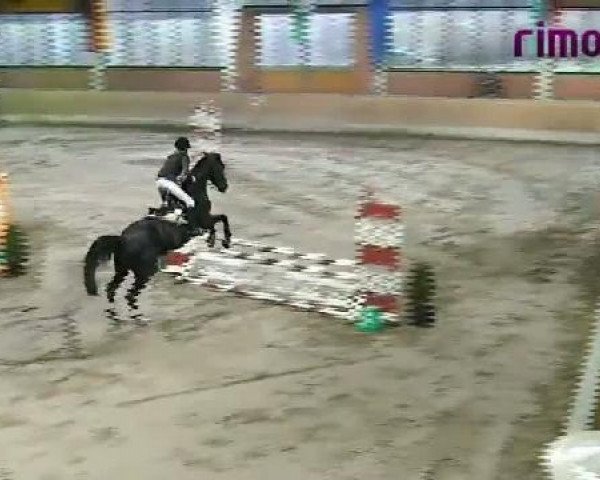 Heiden 2011