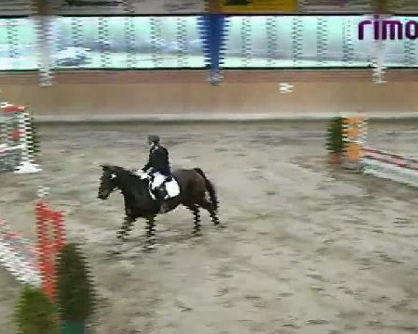 Heiden 2011