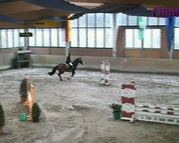 Heiden 2011