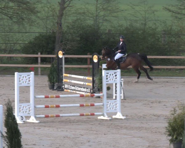 Reitturnier Scharnebeck 2024