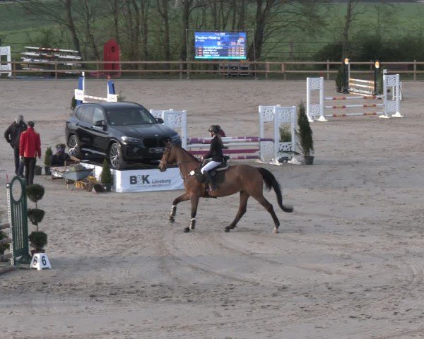 Reitturnier Scharnebeck 2024
