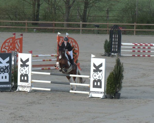 Reitturnier Scharnebeck 2024