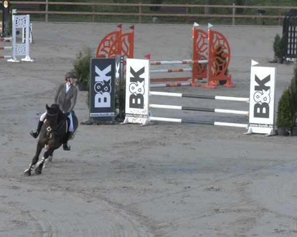 Reitturnier Scharnebeck 2024