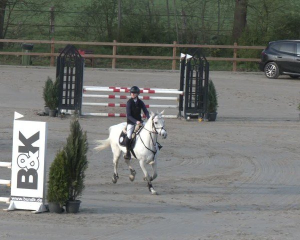 Reitturnier Scharnebeck 2024