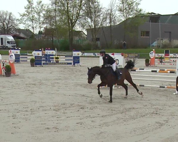 Reitturnier Grafenrheinfeld/Ufr. 2024
