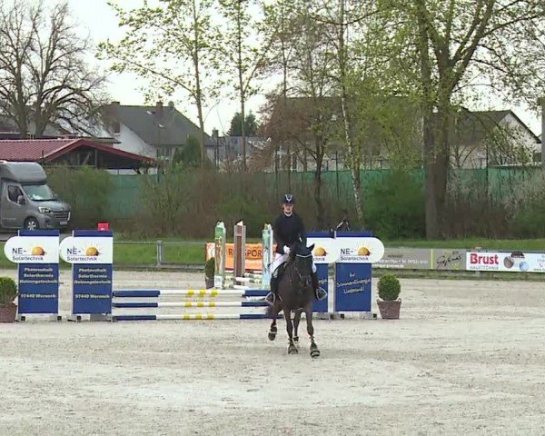 Reitturnier Grafenrheinfeld/Ufr. 2024