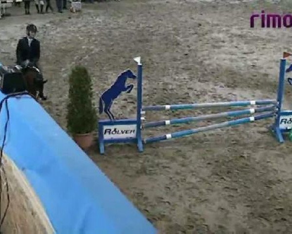 Heiden 2011