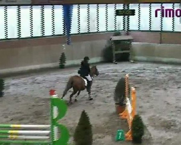 Heiden 2011