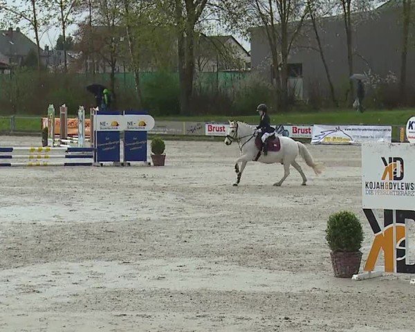 Reitturnier Grafenrheinfeld/Ufr. 2024