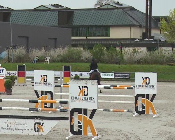 Reitturnier Grafenrheinfeld/Ufr. 2024
