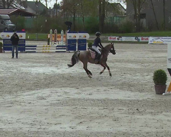 Reitturnier Grafenrheinfeld/Ufr. 2024