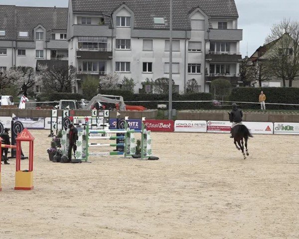 Reitturnier Amriswil 2024
