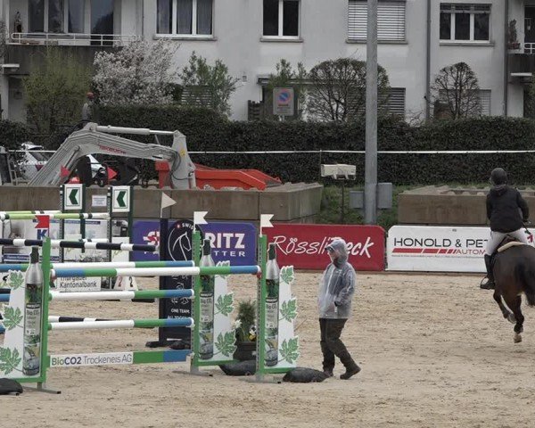 Reitturnier Amriswil 2024