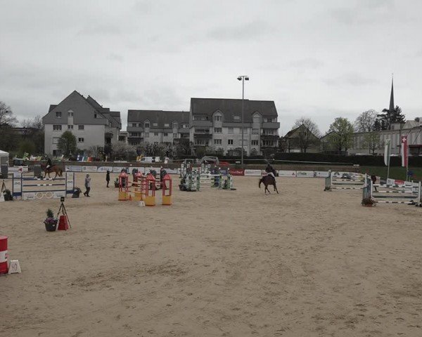 Reitturnier Amriswil 2024