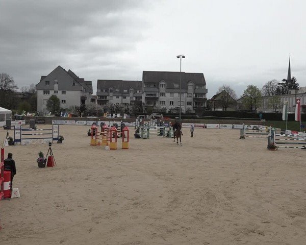 Reitturnier Amriswil 2024