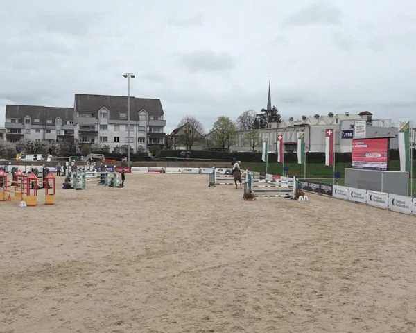 Reitturnier Amriswil 2024