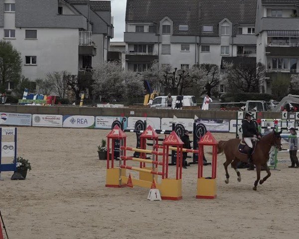 Reitturnier Amriswil 2024