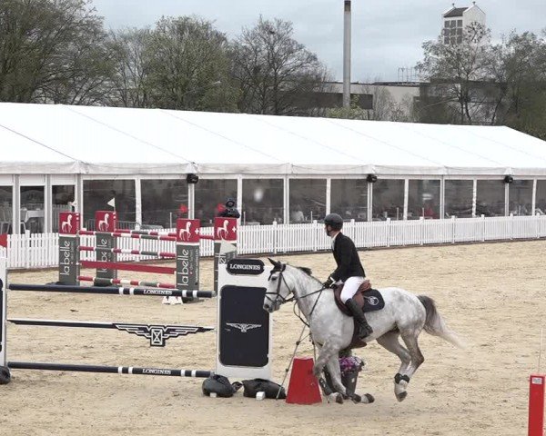 Reitturnier Amriswil 2024