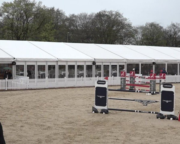 Reitturnier Amriswil 2024