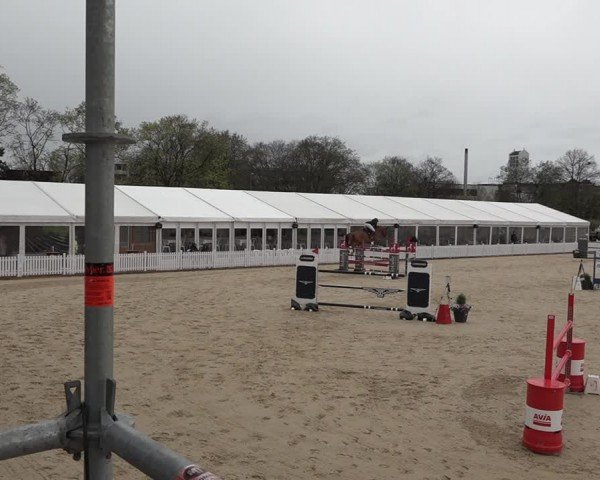 Reitturnier Amriswil 2024