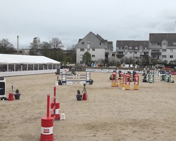 Reitturnier Amriswil 2024