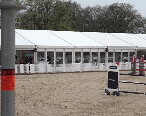 Reitturnier Amriswil 2024