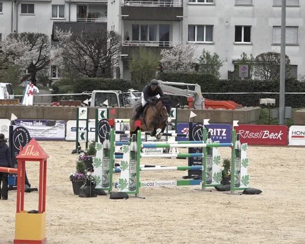 Reitturnier Amriswil 2024