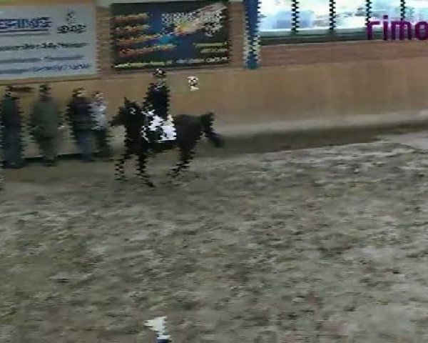 Heiden 2011
