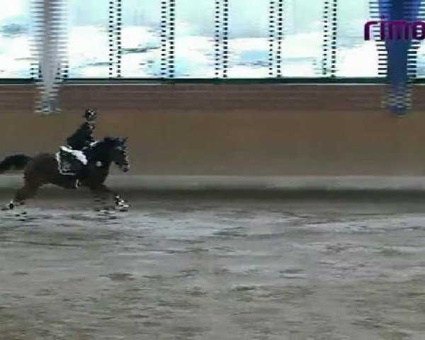Heiden 2011