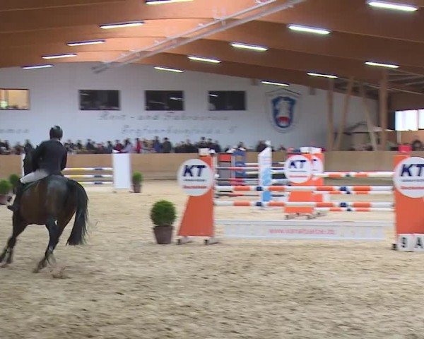Reitturnier Grafenrheinfeld/Ufr. 2024