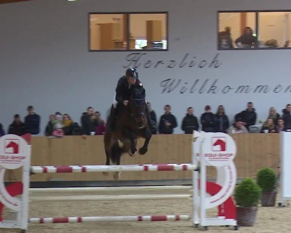 Reitturnier Grafenrheinfeld/Ufr. 2024