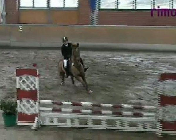 Heiden 2011