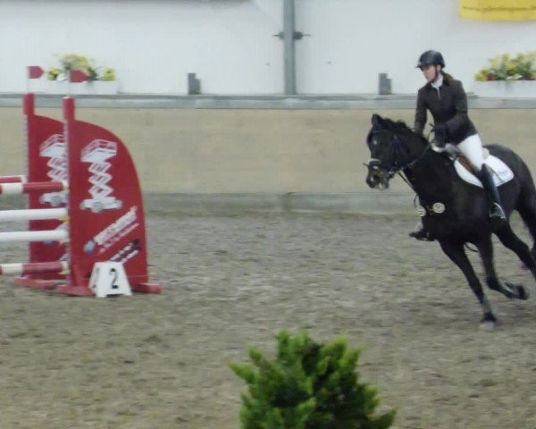 Reitturnier Waghäusel-Wiesental 2024