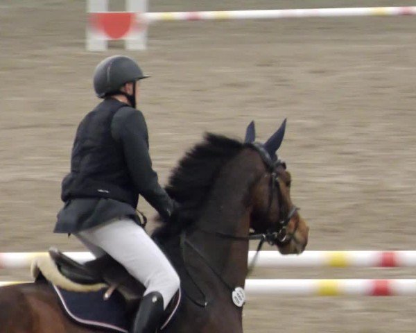 Reitturnier Waghäusel-Wiesental 2024