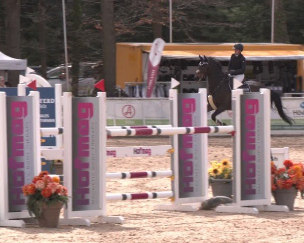 Reitturnier Ranshofen - Braunau am Inn 2024