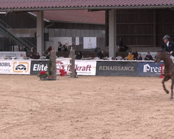 Reitturnier Ranshofen - Braunau am Inn 2024