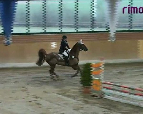 Heiden 2011