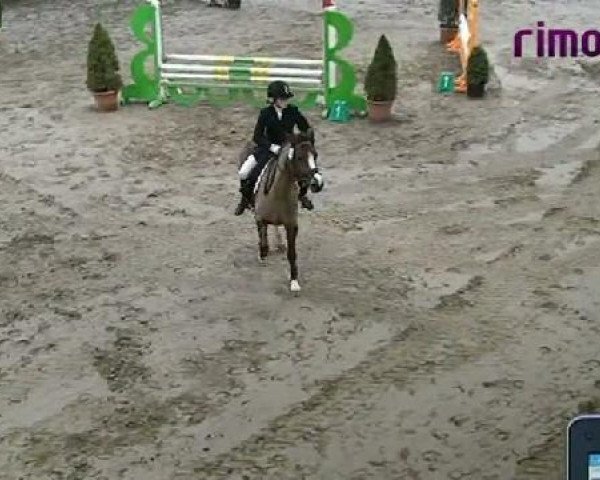 Heiden 2011